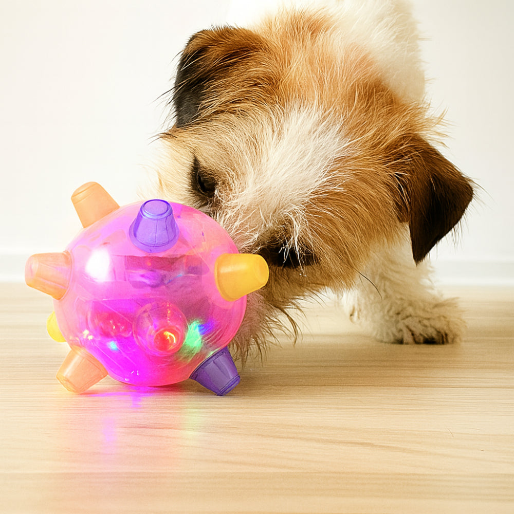 Interaktives Gummiball-Hundespielzeug mit Blinklicht und Hüpf-Funktion