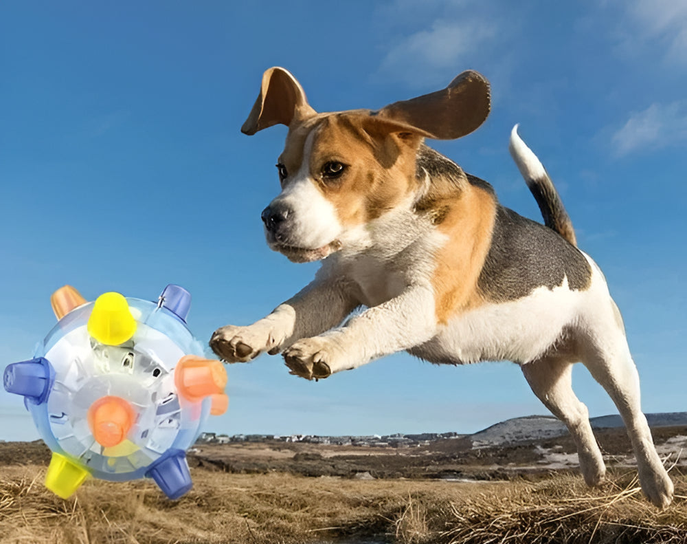 Interaktives Gummiball-Hundespielzeug mit Blinklicht und Hüpf-Funktion
