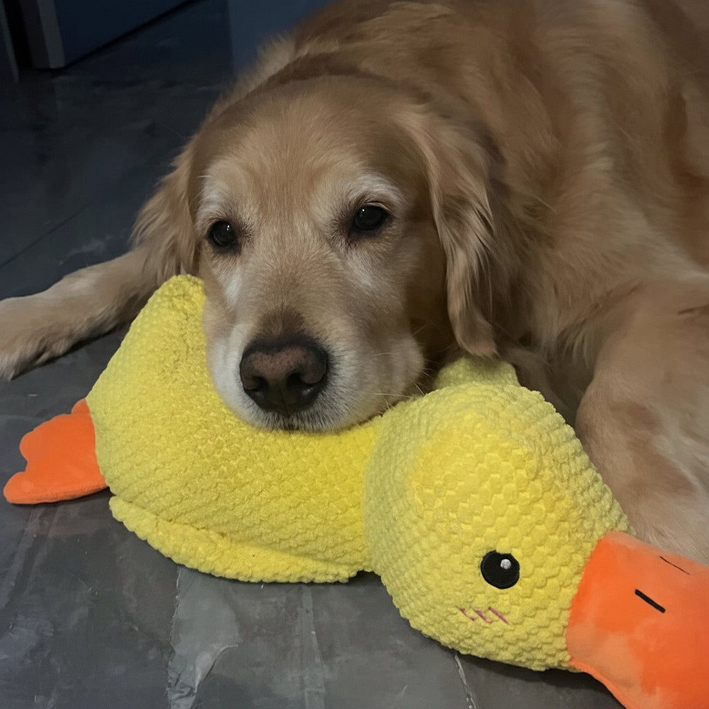 Robustes quakendes Enten-Kauspielzeug für Hunde zur Linderung von Angst