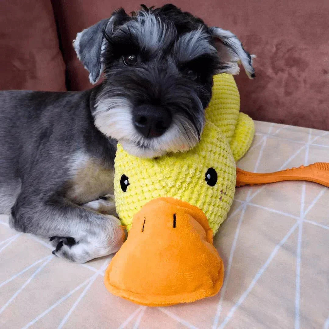 Robustes quakendes Enten-Kauspielzeug für Hunde zur Linderung von Angst